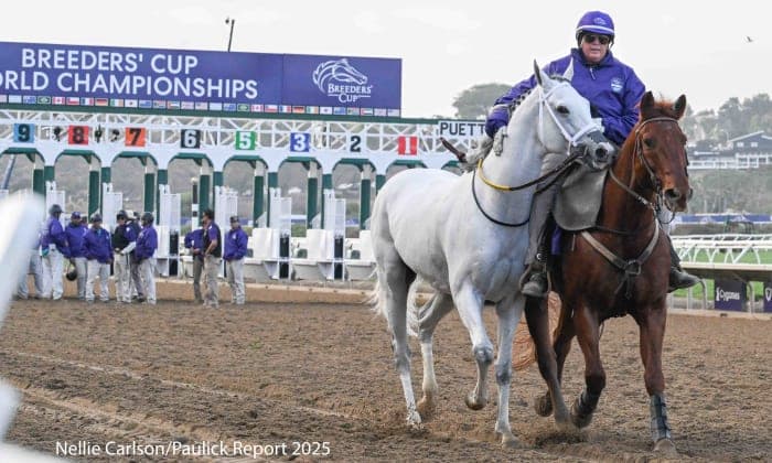 CHRB Declines Vote on Bernal Park Dates Over Bait-and-Switch Amendment