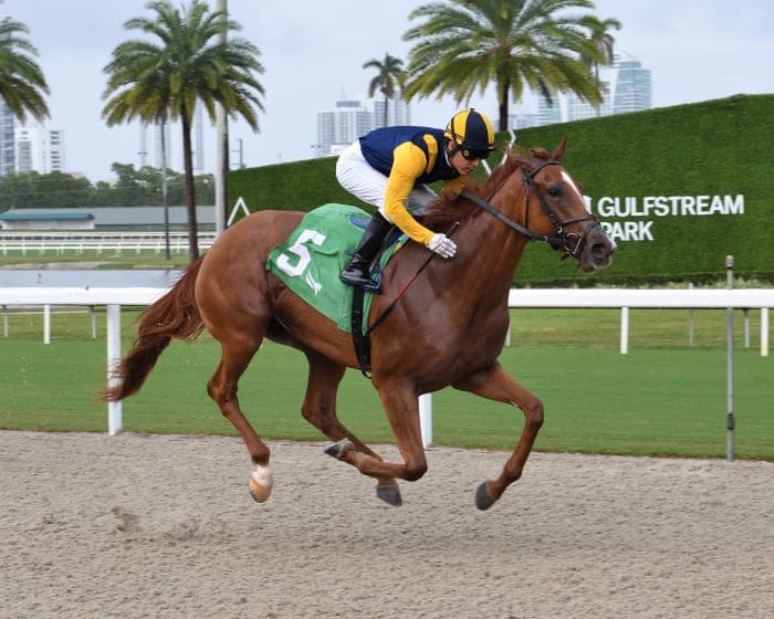 Litigation Edges 96-1 Full Disclosure by Neck in Gulfstream Turf Sprint