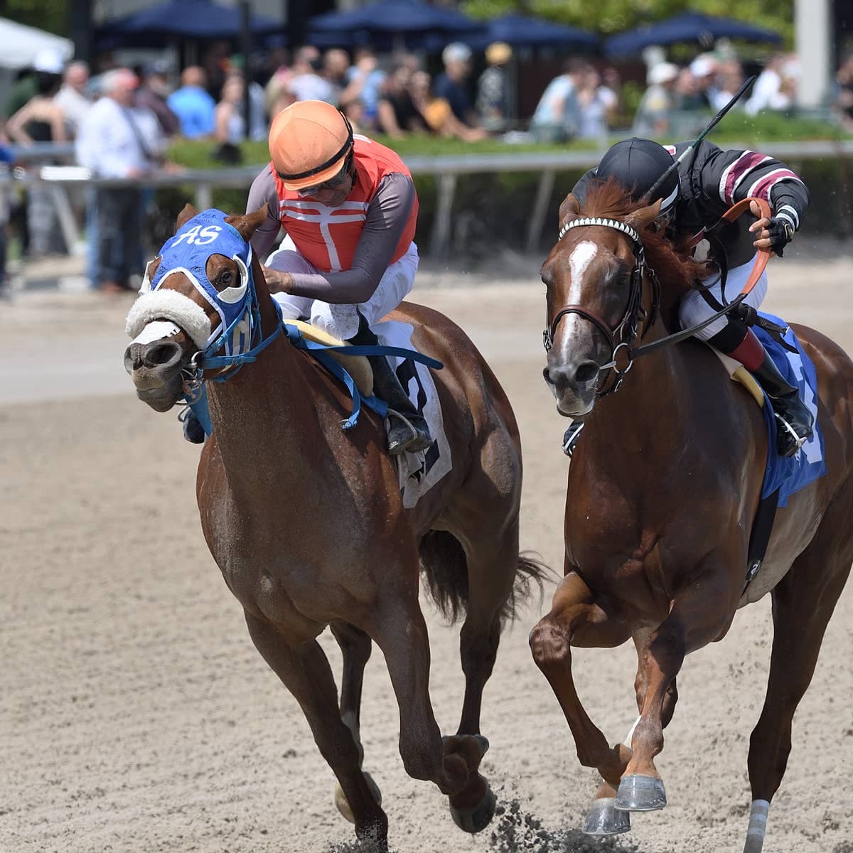 Fulmine Wins Hutcheson Stakes at Gulfstream Park by 2¾ Lengths