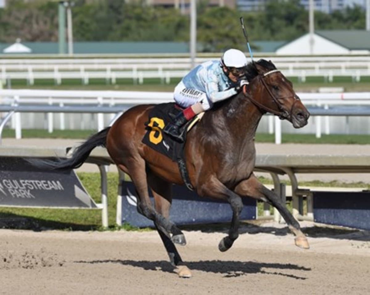 Bill Mott trainee Black Cherry Edges Photo Finish in Gulfstream Debut