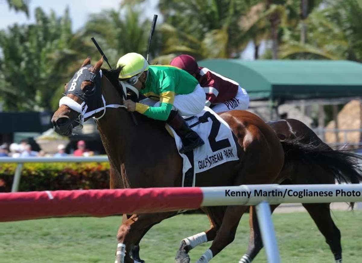 Twirling Queen Stuns at 18-1, Wins Captiva Island Stakes at Gulfstream