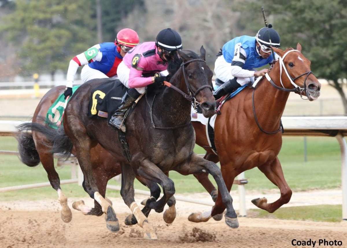 Jockey David Cohen Returns to Oaklawn Park, Eager to Ride Again