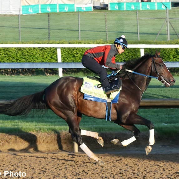 Asmussen says Chip Honcho skips Derby, targets Preakness Stakes