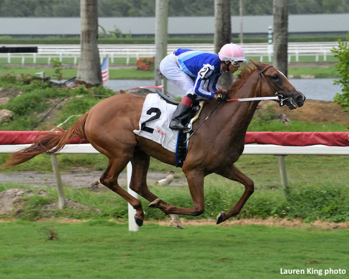 Sister Troienne Extends Five-Race Win Streak in Sweetest Chant G3 at Gulfstream