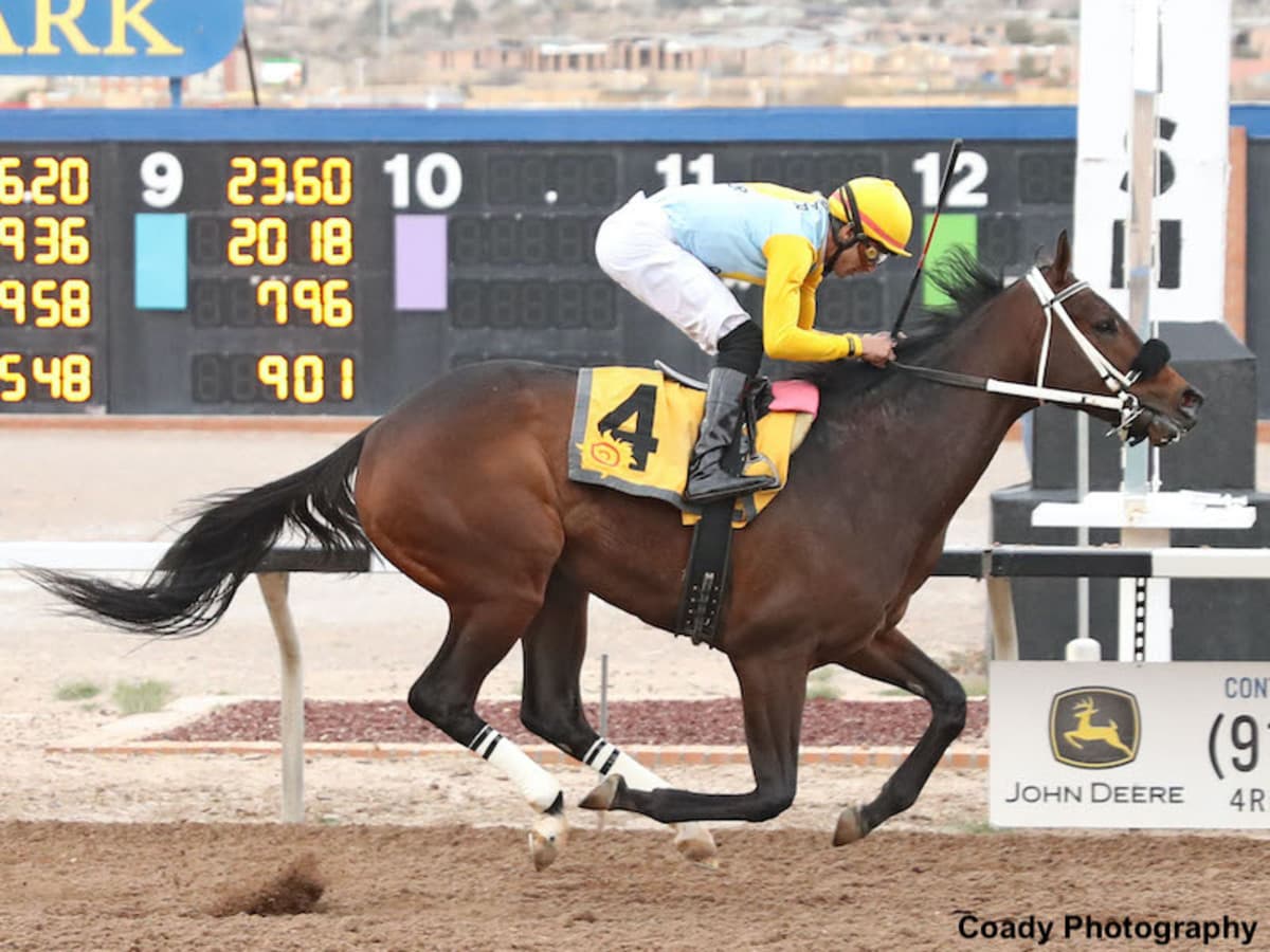 Reddam Homebred Pavlovian Wins Sunland Park Derby by Nose, Enters Derby Top-10