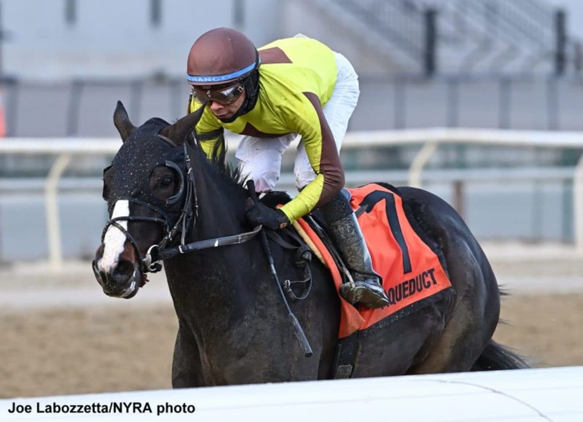 Fasig-Tipton March Digital Sale Opens With 189 Cataloged, Bidding Closes March 24