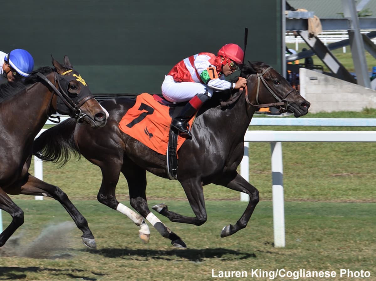 Lennilu Dominates Melody of Colors Stakes to Open Her 3-Year-Old Campaign