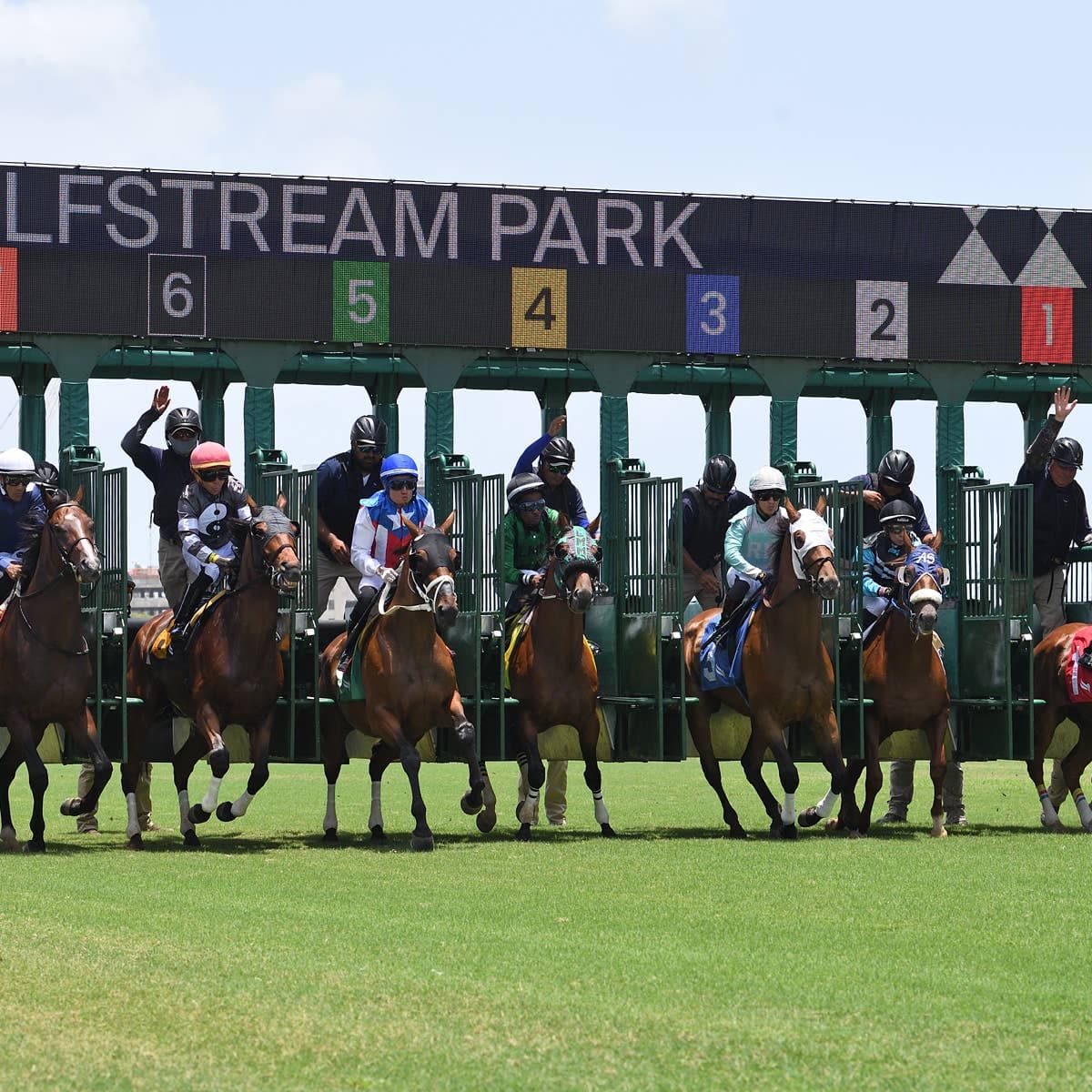 The Puma resumes Derby routine, Bella Ballerina sharpens Oaks bid