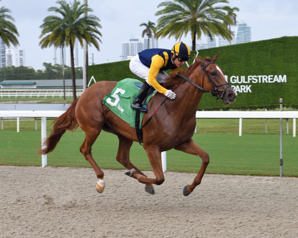 Mario Gutierrez Released After Gulfstream Spill; Souper Dormy Euthanized