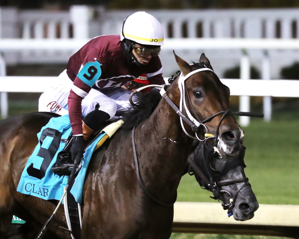 Magnitude Withdrawn From $20 Million Saudi Cup After Illness