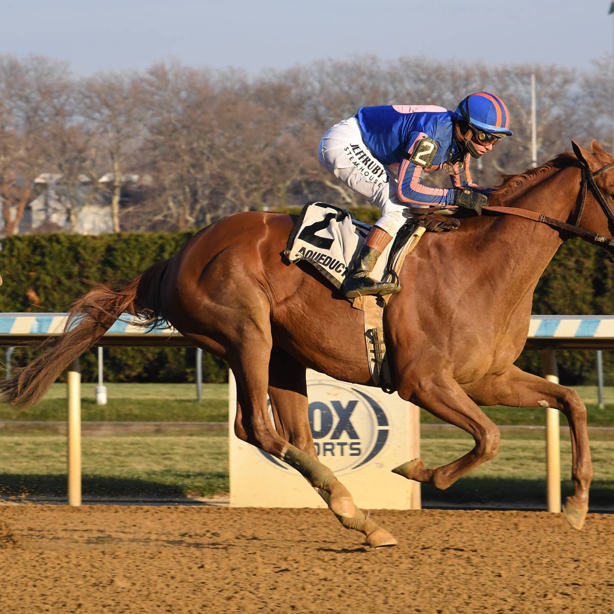 Sandtrap Romps in Aqueduct Allowance, Points to Just a Game