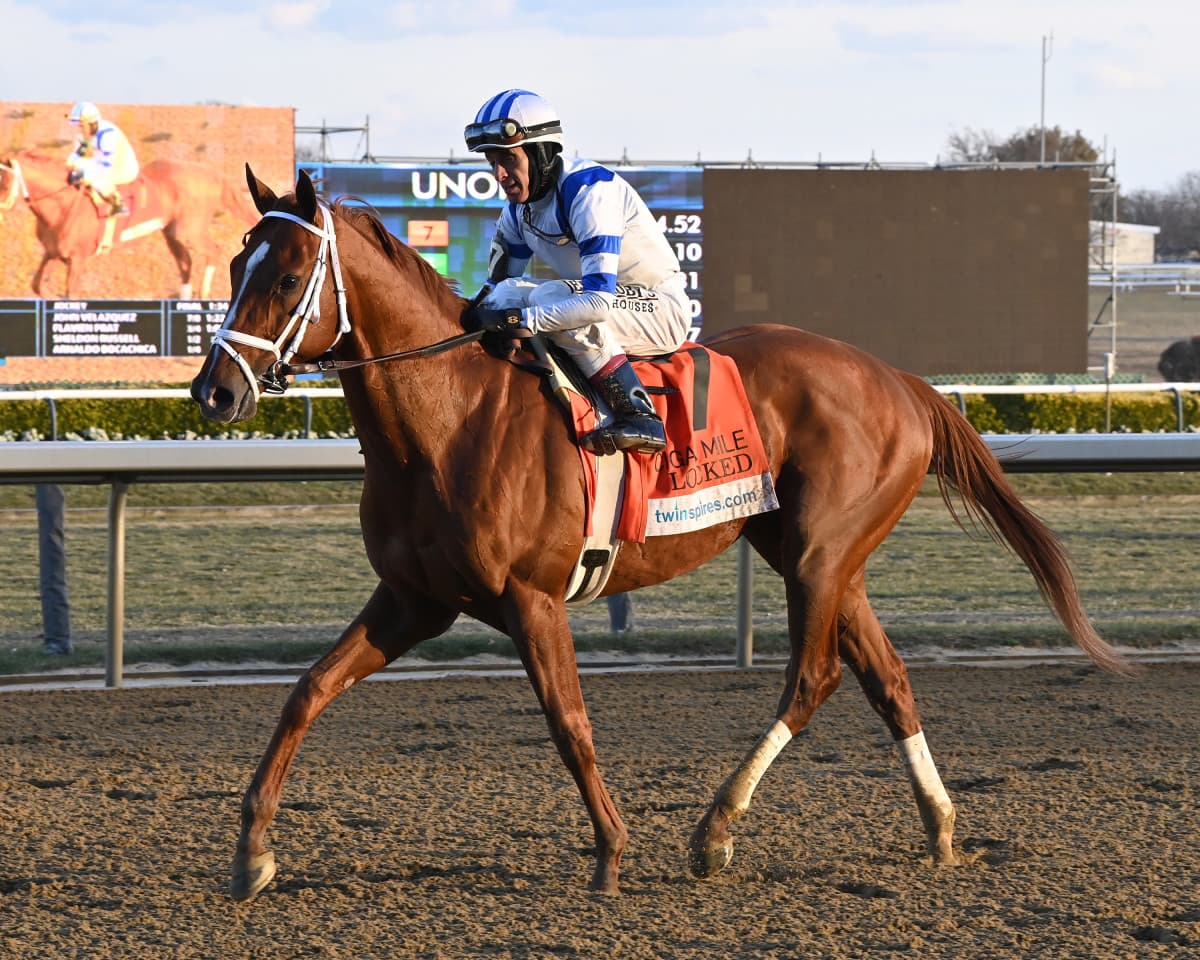 Skippylongstocking Removed From Flight After Kicking, Scratched From Santa Anita Handicap