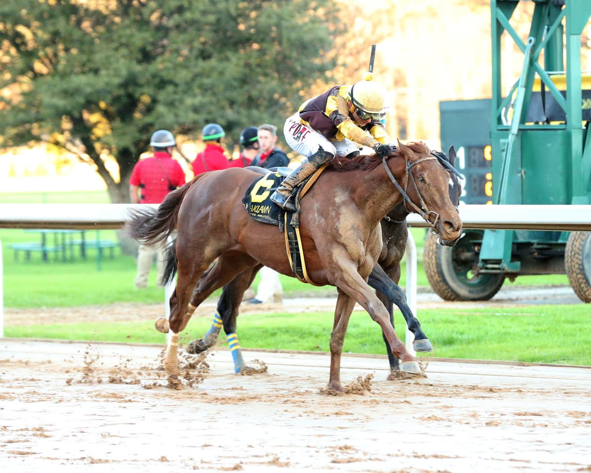 Majestic Oops Upsets Champion Nitrogen in Sloppy GII Azeri at Oaklawn