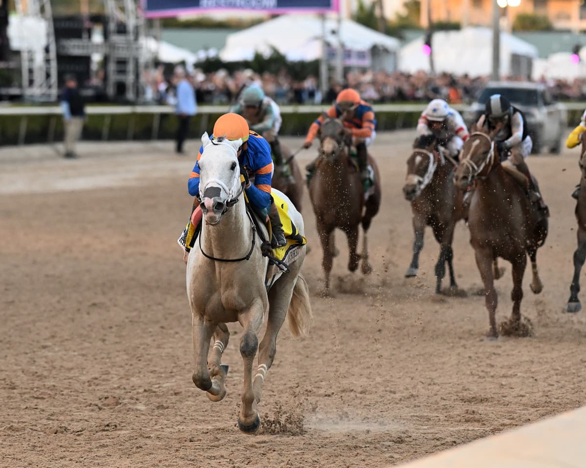 Saffie Joseph Jr. Discusses Pegasus World Cup Exacta of Skippylongstocking, White Abarrio