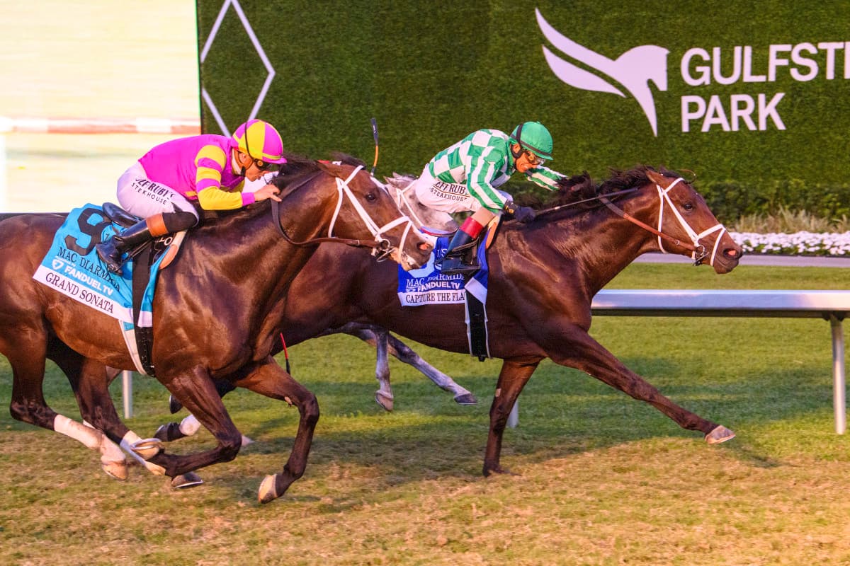 Grand Sonata Ends 10-Race Drought, Rallies Under Tyler Gaffalione to G2 Win