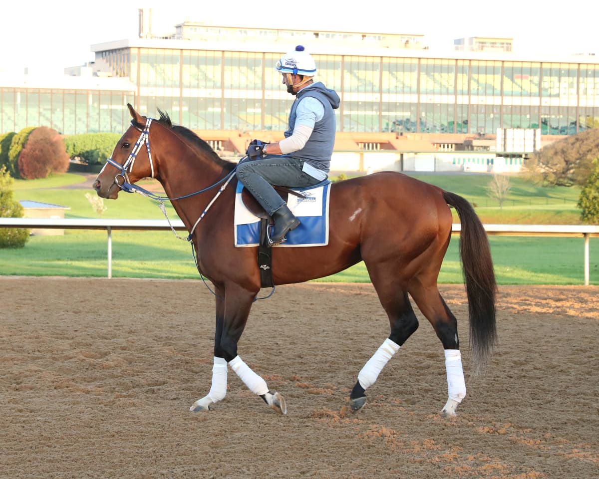 Blackout Time Fires Bullet Work at Oaklawn Ahead of Arkansas Derby