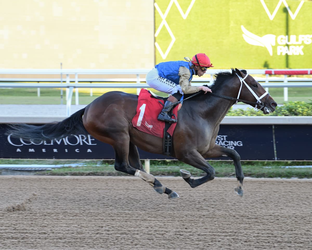 Commandment, Class President and Iron Honor Reshape Kentucky Derby Futures
