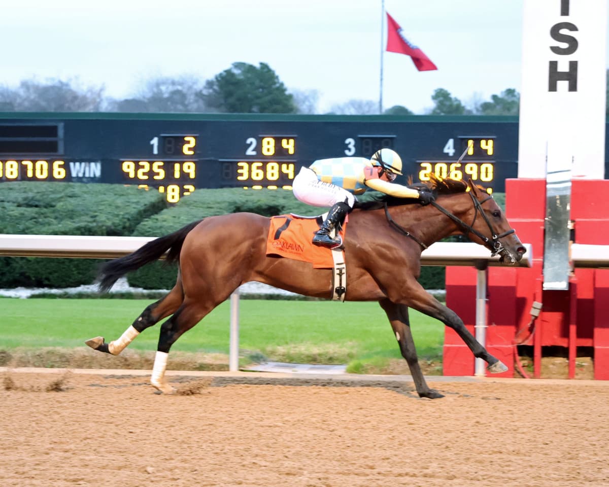 Silent Tactic to Target $1.5 Million Arkansas Derby After Narrow Rebel Runner-Up