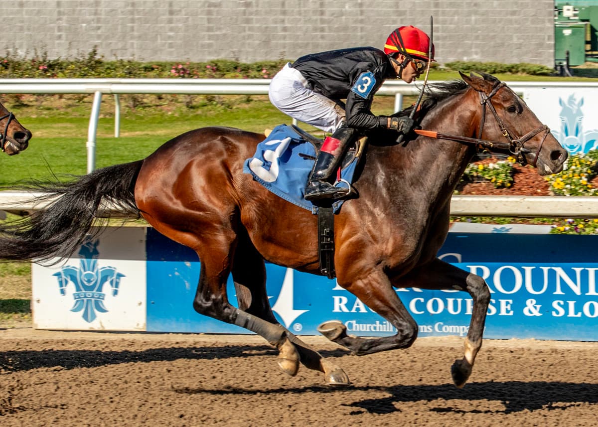 Golden Tempo Heads Louisiana Derby Contenders as March 21 Approaches