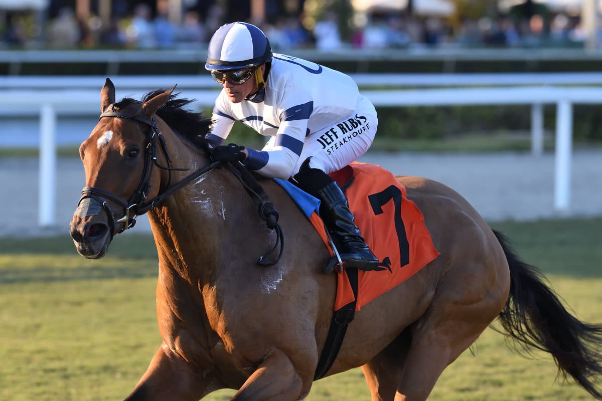 Moon Spun Wires Gulfstream Ladies' Turf Sprint as Castellano Caps Fourth Win