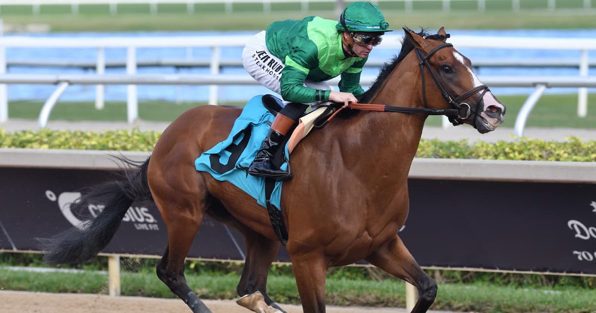 Equibase Sees Canaletto as High-Potential Contender in Tampa Bay Derby