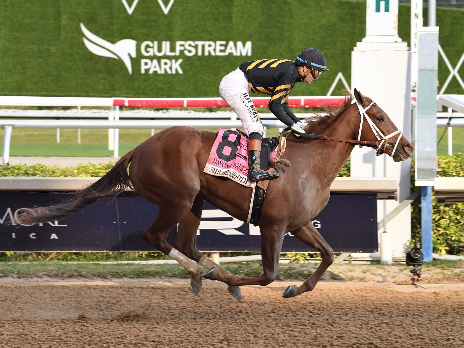 Pletcher Eyes Sweep of UAE, Florida, and Arkansas Derby Preps