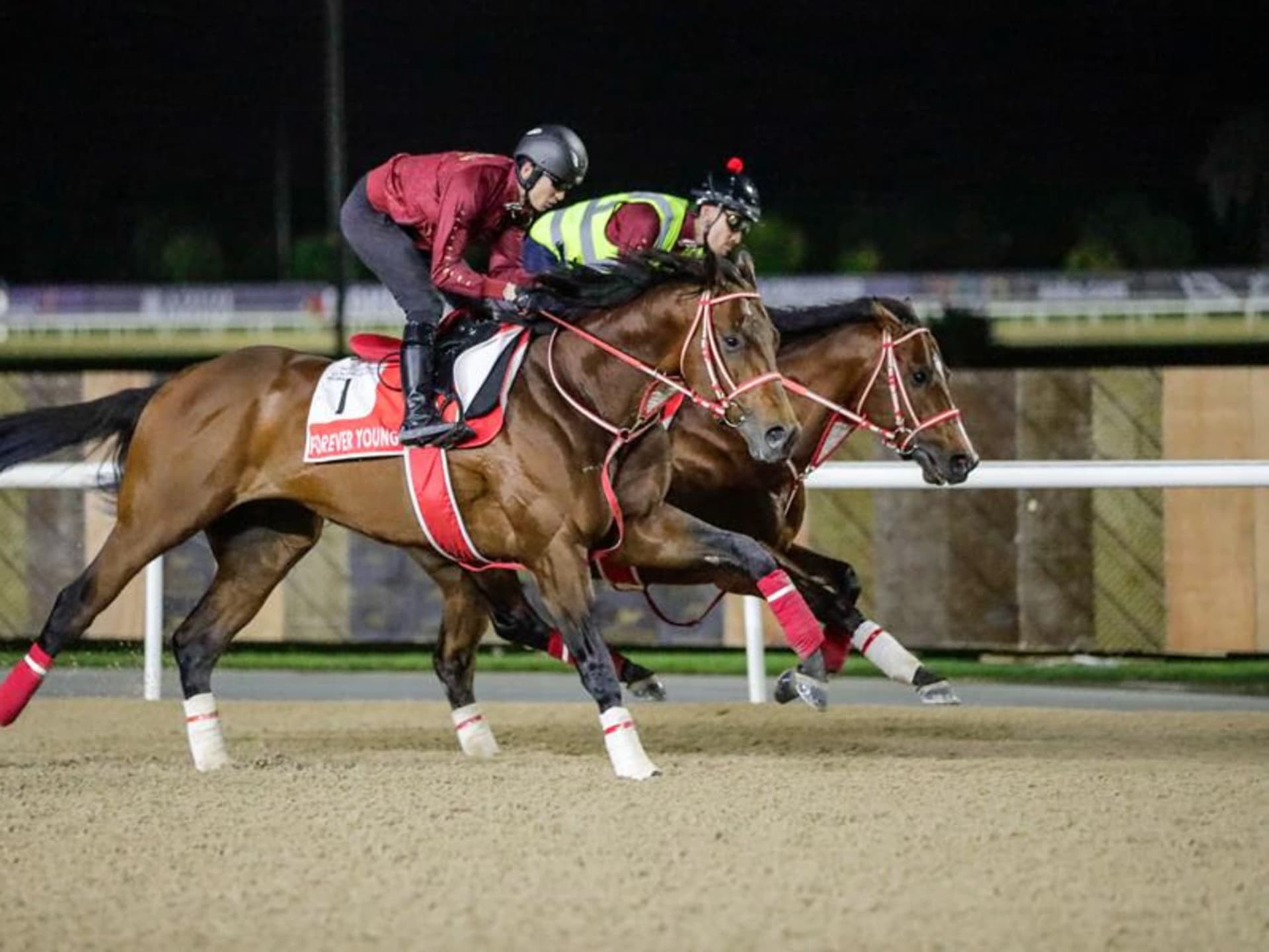 Dubai World Cup Night Headlines Packed Global Racing Card This Weekend