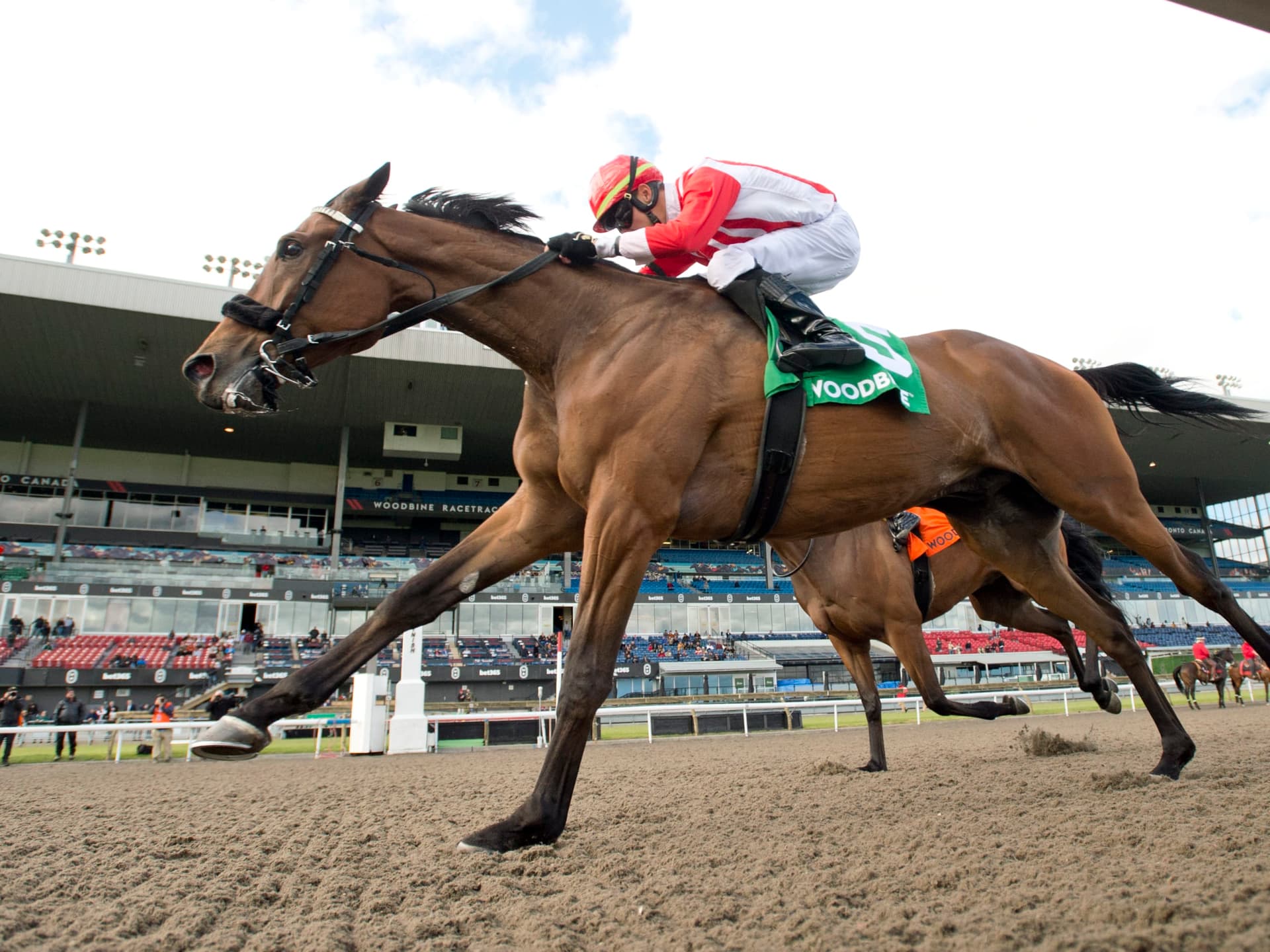 Trainer Marty Drexler Steps Away, Cites Impossible Conditions To Profit