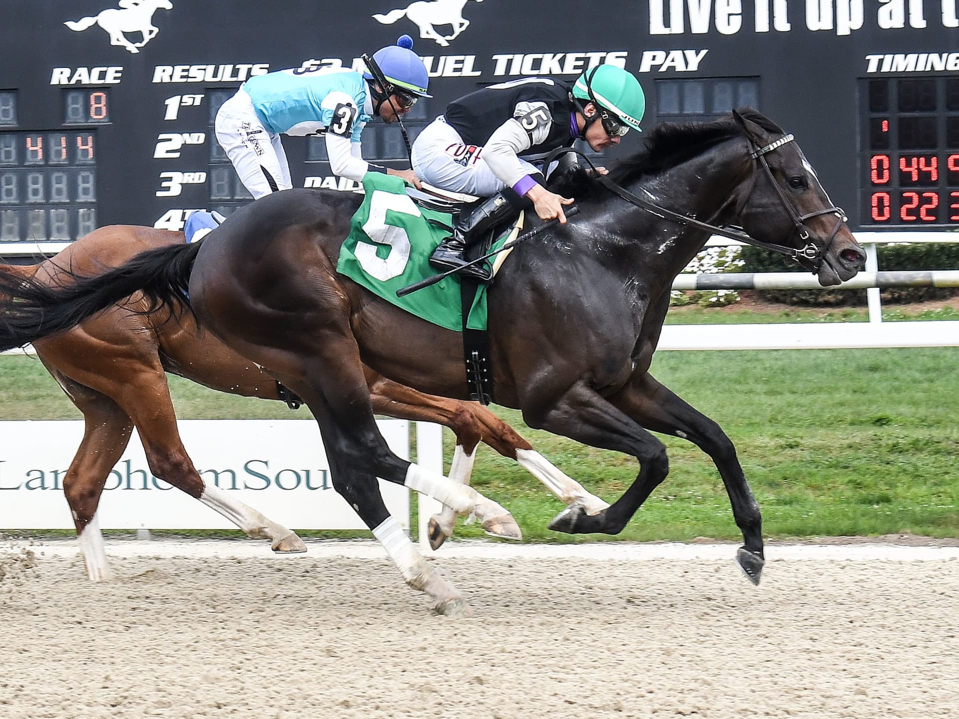 Uncle's Gold Edges Adios Cole in Tampa Bay Turf Classic