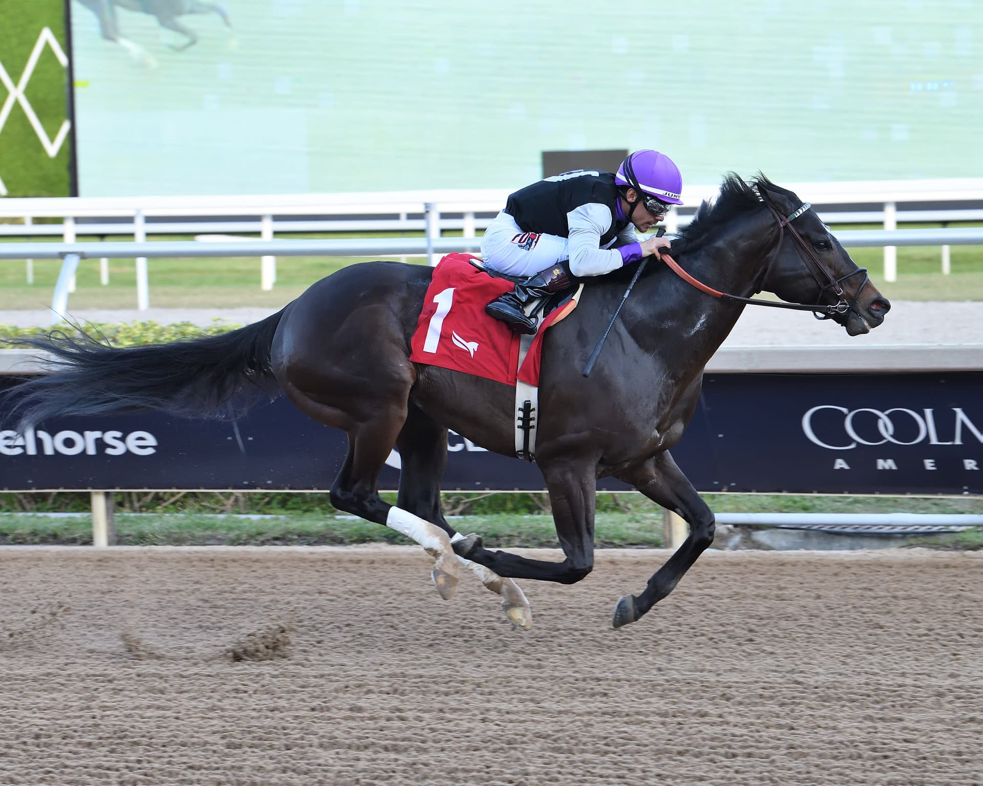 Damon’s Mound Favored in Gulfstream Park Sprint; Purse $125K-$150K