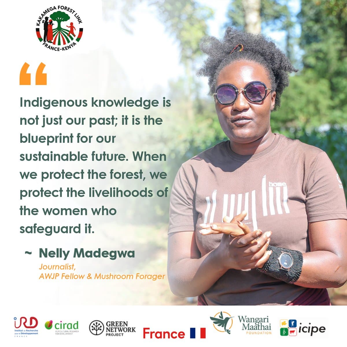 Sustainable mushroom foraging boosts women’s livelihoods in Kakamega Forest