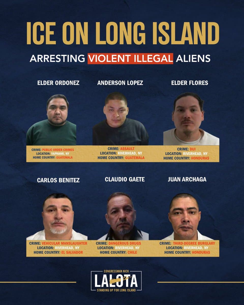LaLota says criminal illegal immigrants arrested in Suffolk face deportation