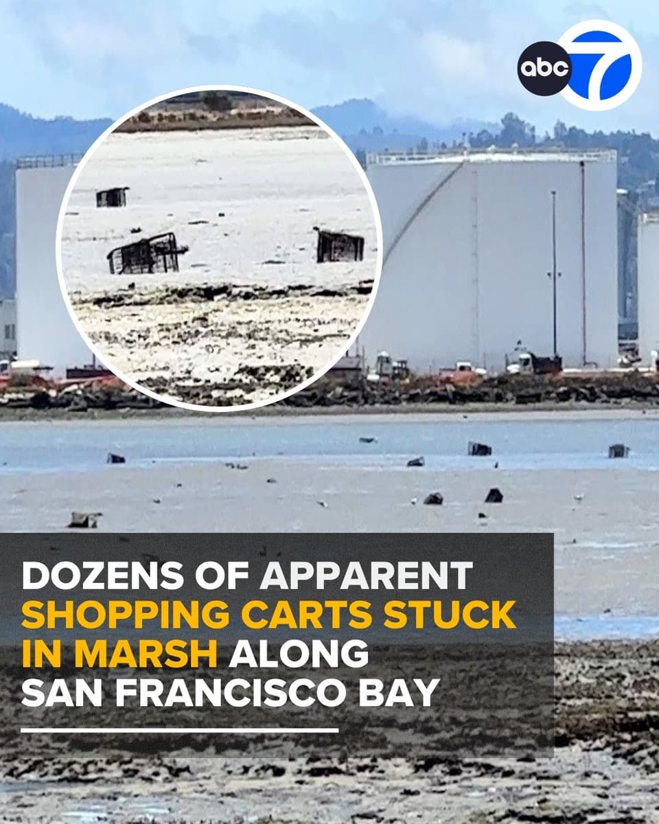 Dozens of shopping carts found stuck in South San Francisco marsh