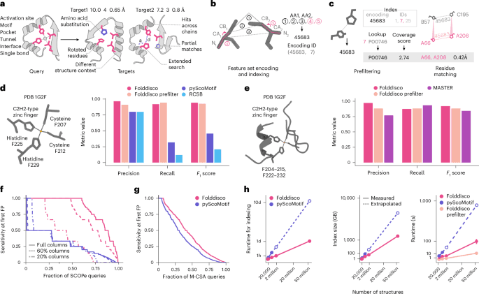 Folddisco searches the protein universe for functional structural motifs