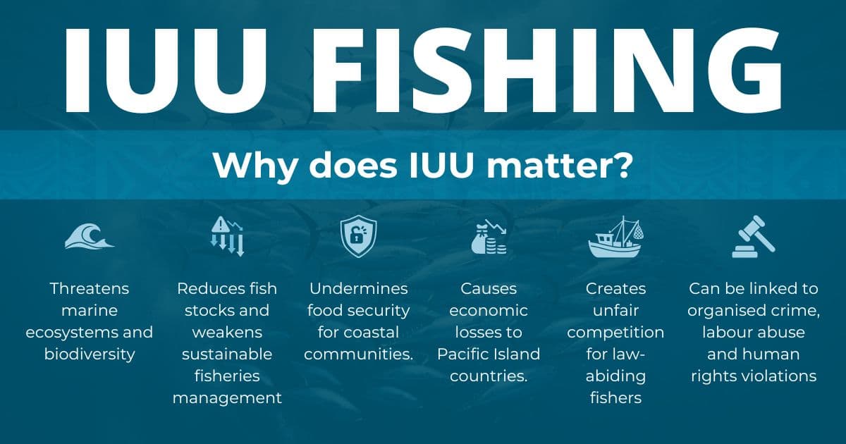 Pacific tuna stocks lose millions to illegal fishing, FFA says