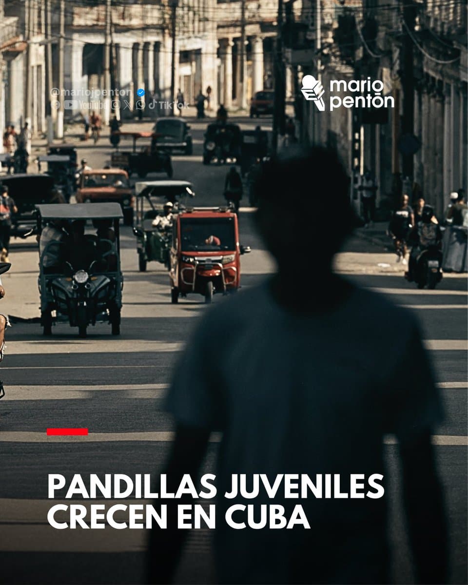 Cuba’s youth gangs expand as crisis and drug use deepen