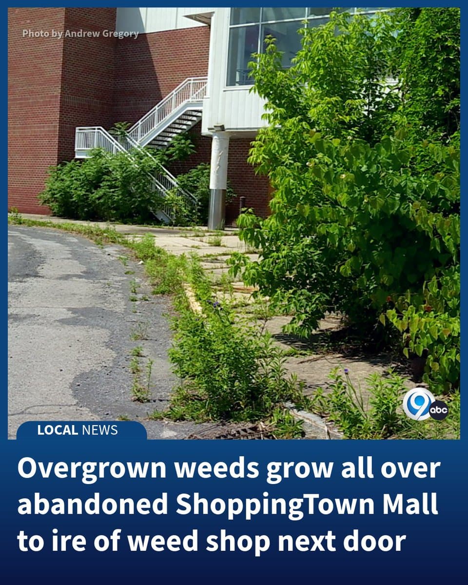 Overgrown ShoppingTown Mall grass hurts Loud Pack Exotics sales