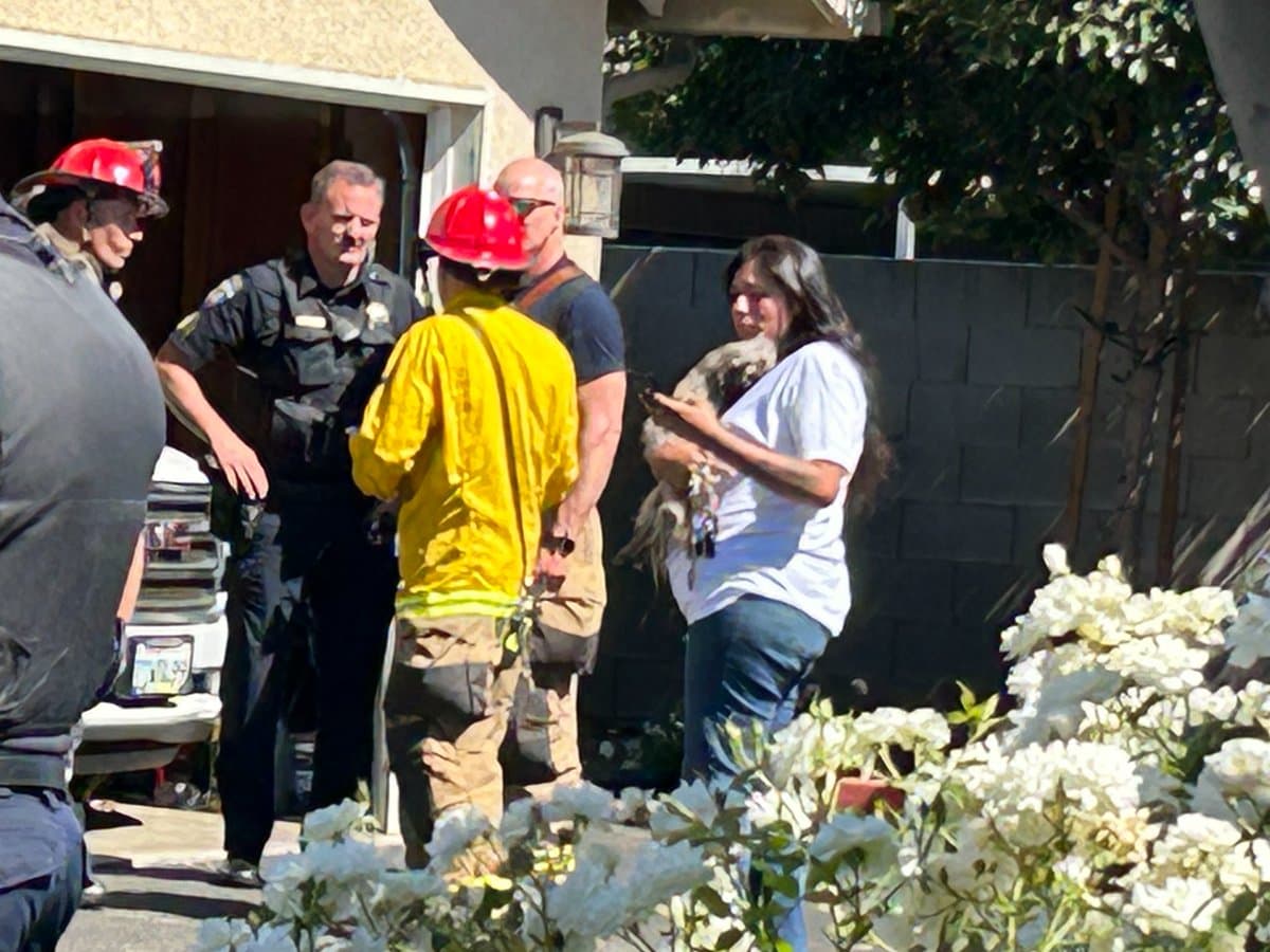 Firefighters rescue two dogs from Clovis apartment fire, cause under investigation