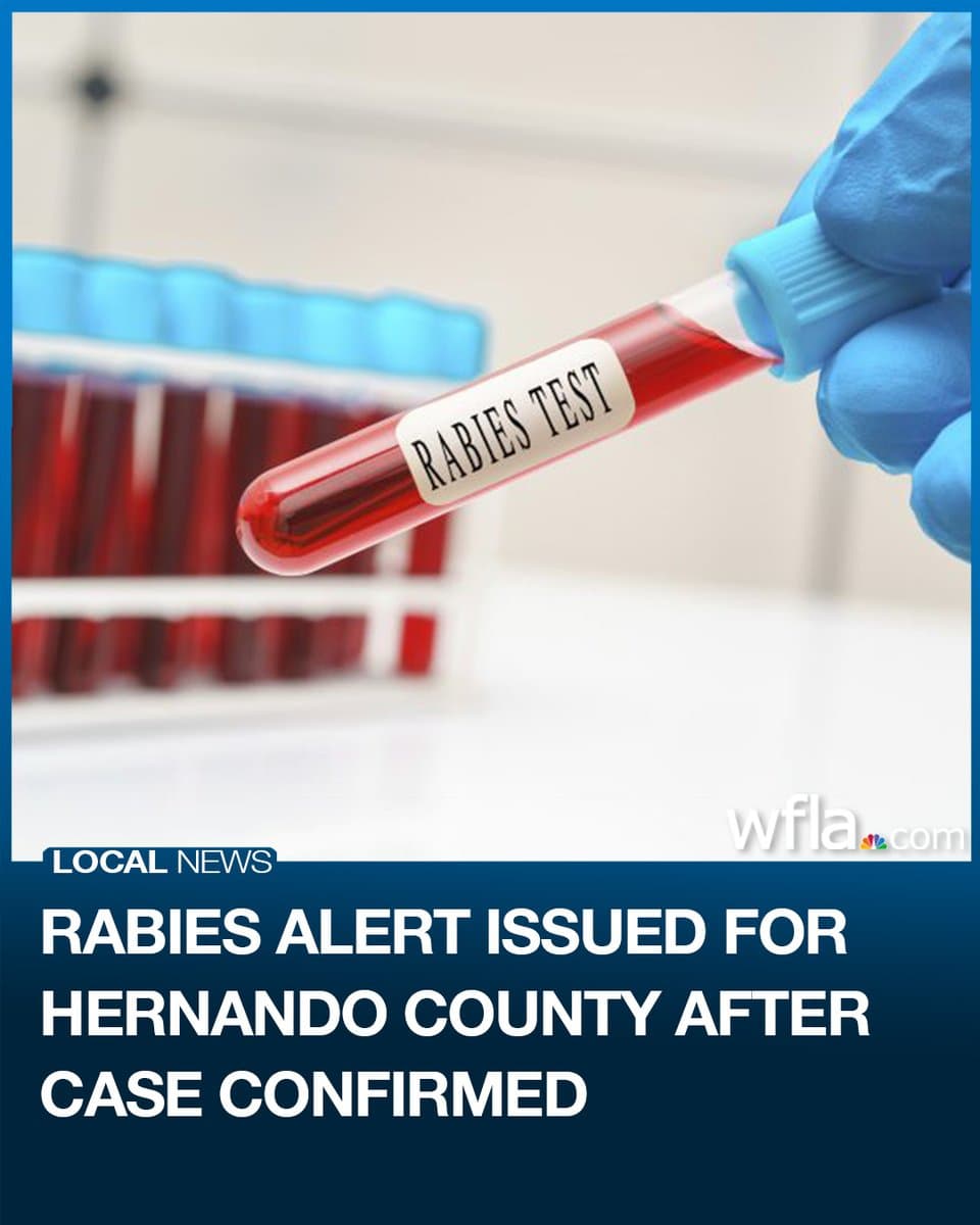 Rabies alert issued in Spring Hill after raccoon attacks cat