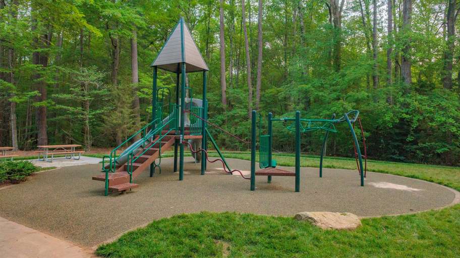 Raleigh celebrates Strickland Road Park upgrades with June 24 event