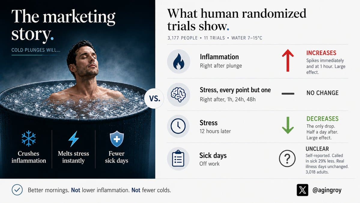 PLOS One review finds ice baths raise inflammation, not immediate stress relief