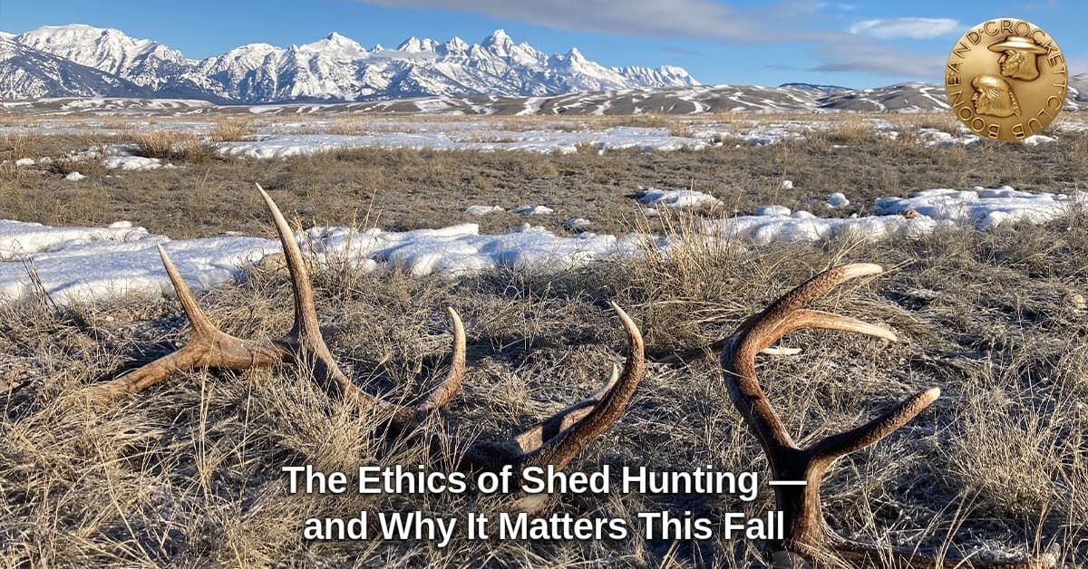 March shed hunting puts elk and mule deer survival at risk