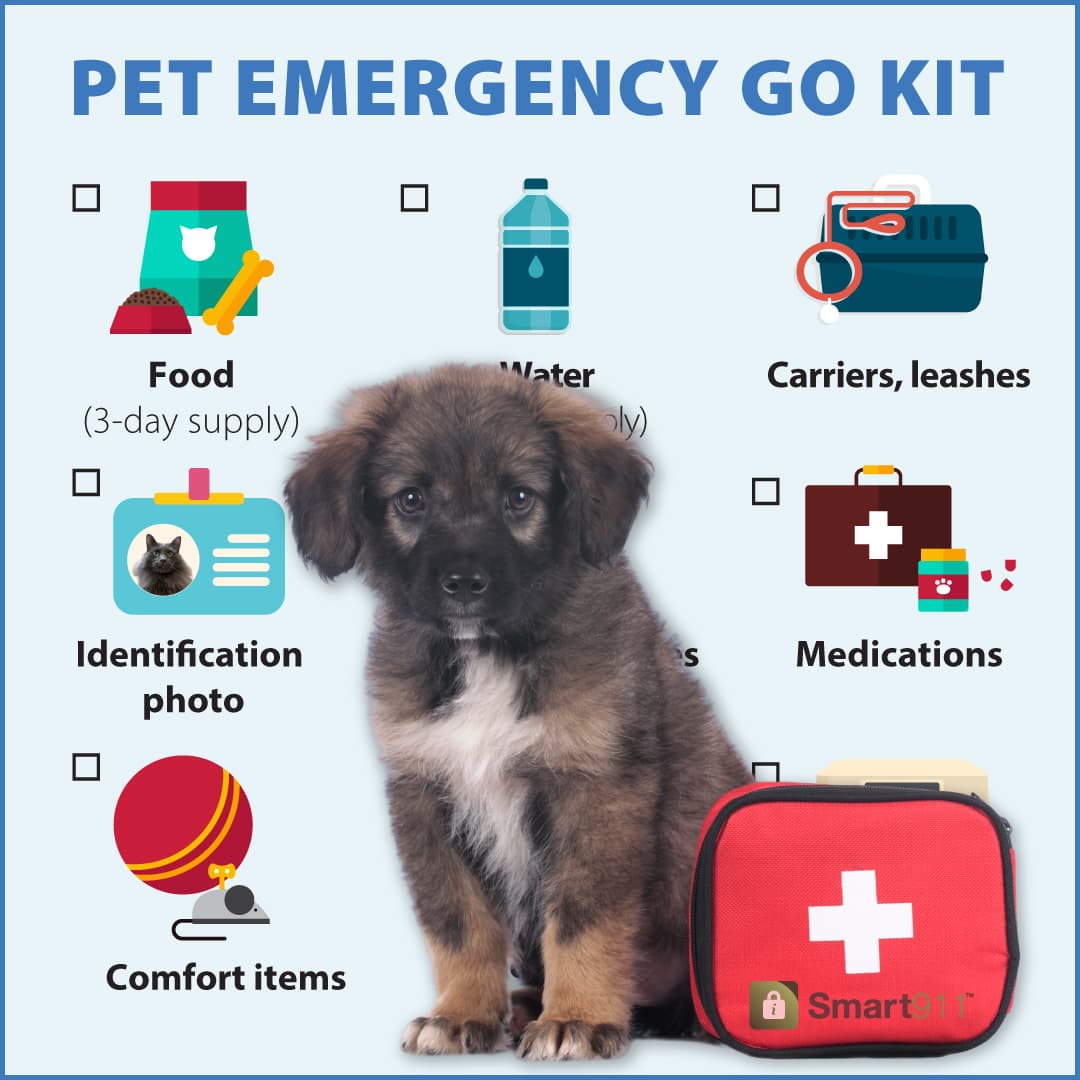 Otter Tail County urges residents to build pet emergency go-kits