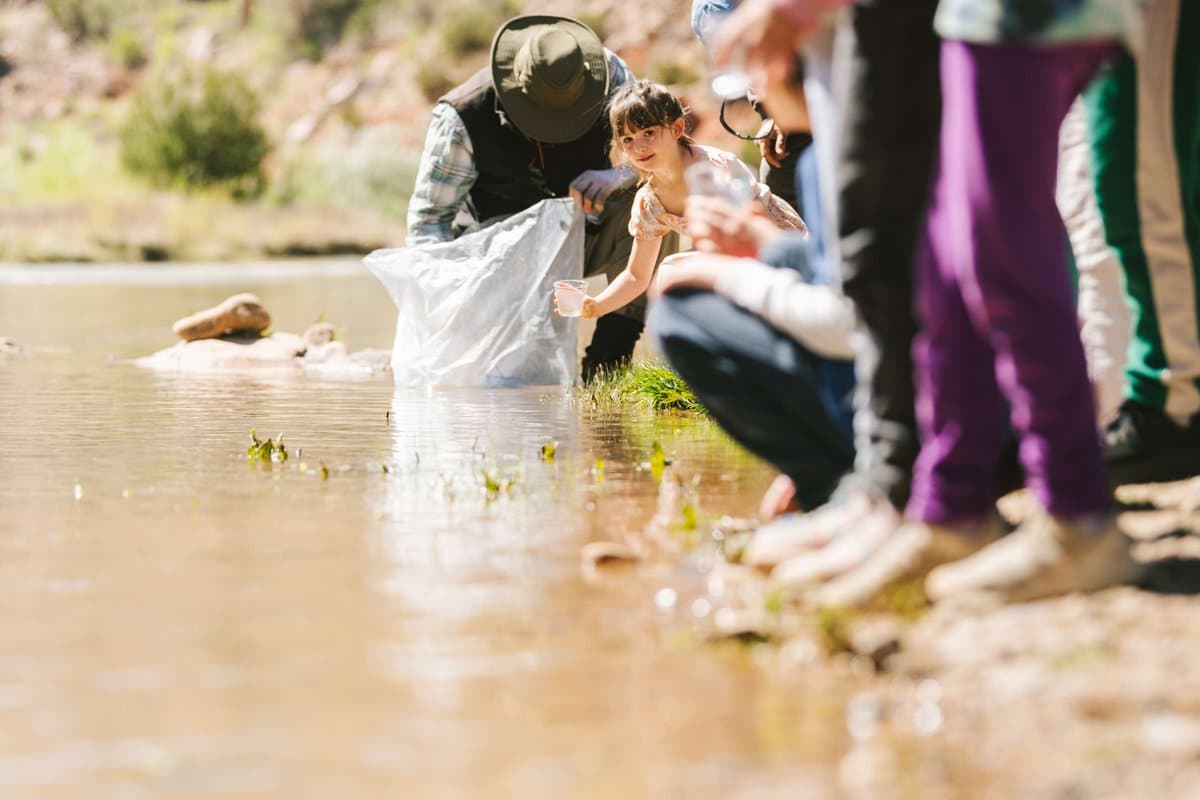 Los Alamos Lab helps students release trout they raised from eggs