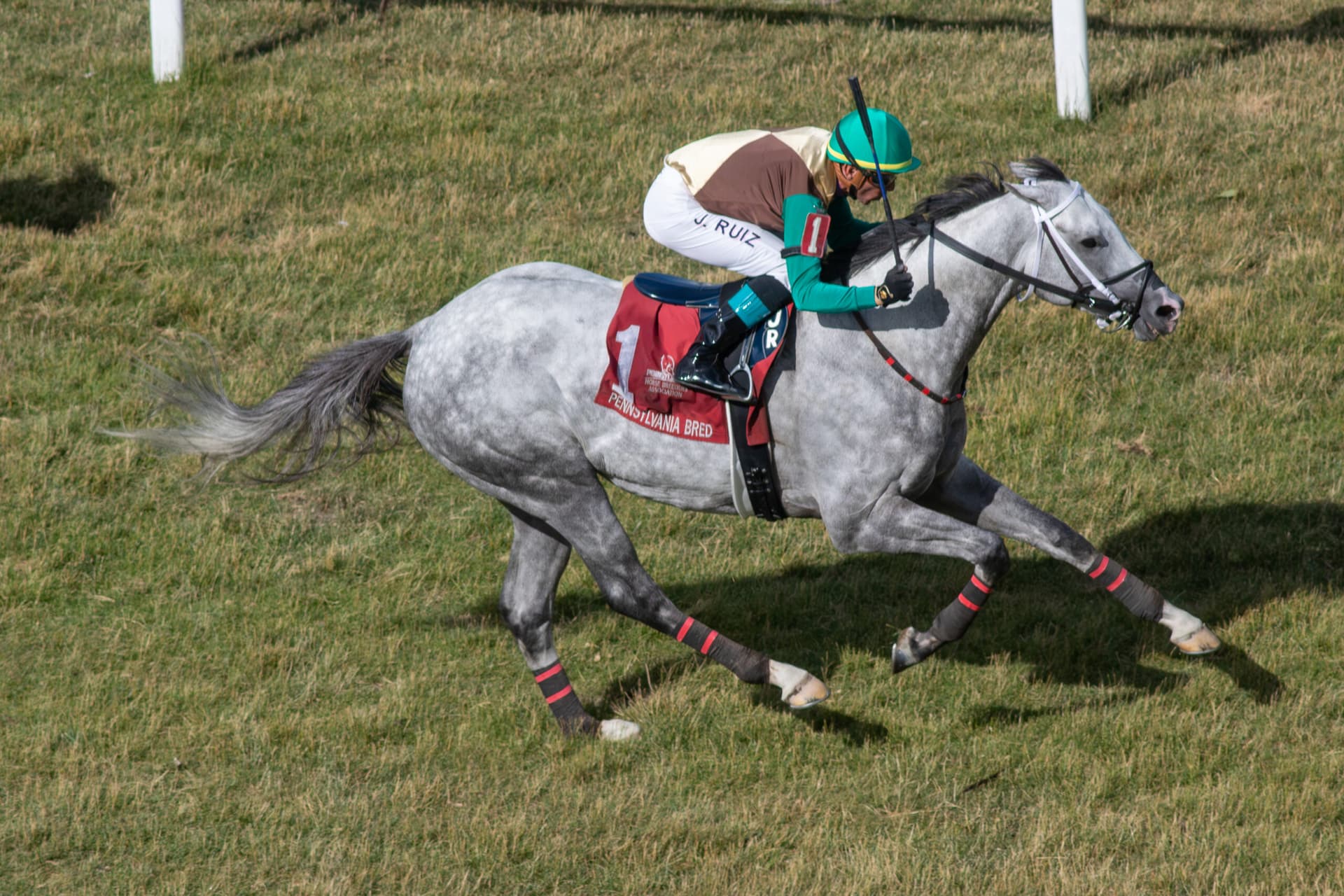 Modarosa wins Lyphard Stakes at Penn National by 2 3/4 lengths