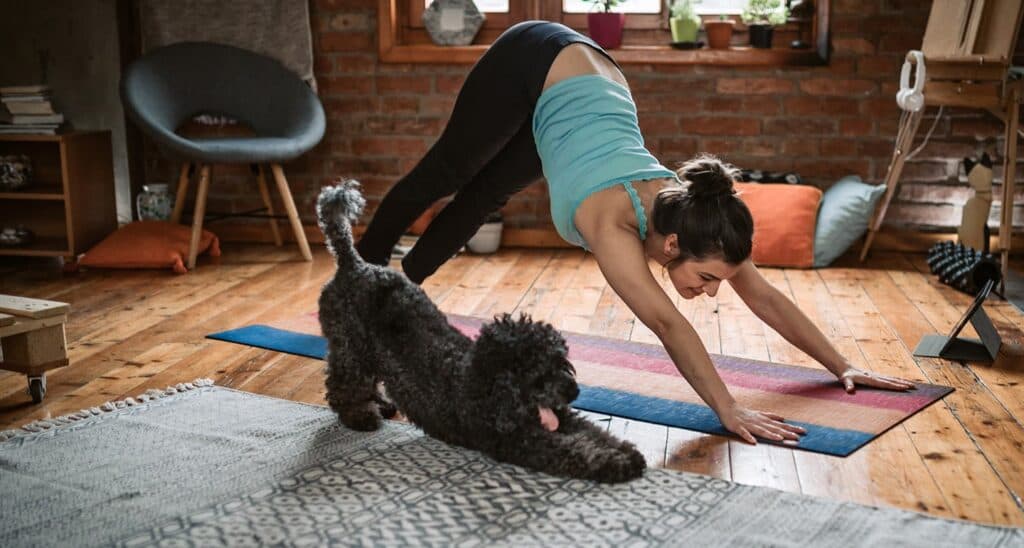 Chewy says dog yoga brings calm and connection at home