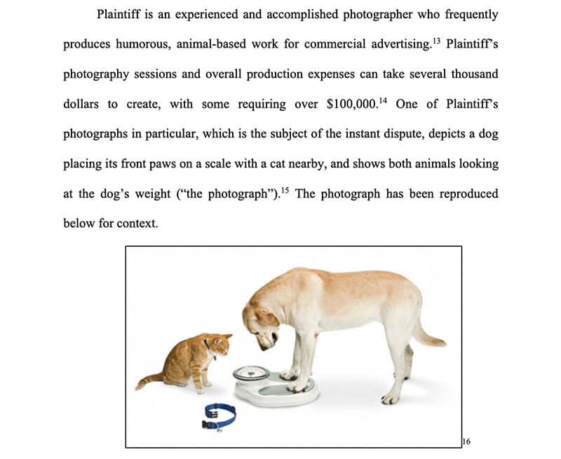 Court rejects AI could have made it defense in photo copyright case