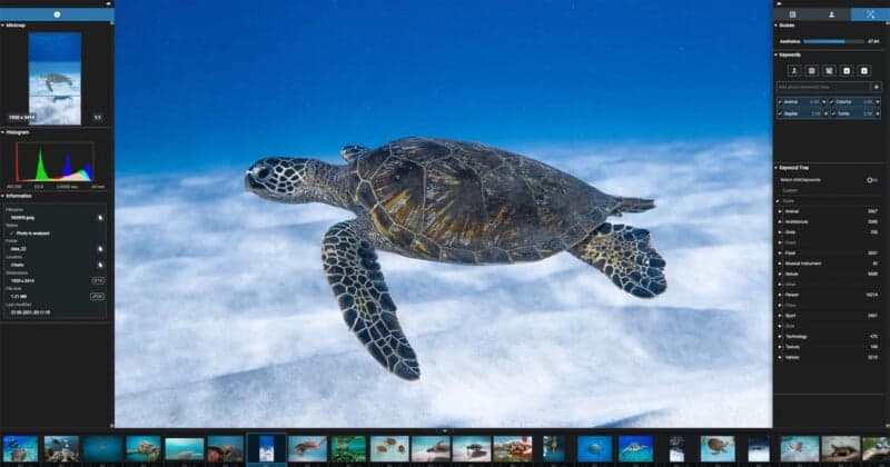 Excire Foto 2027 adds text search and faster AI photo culling