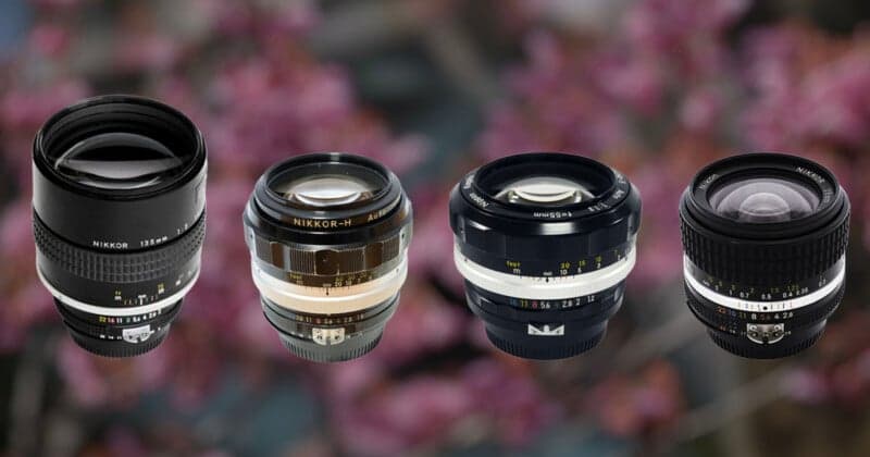 Nikon should revive classic Nikkor lenses for modern Z-mount cameras