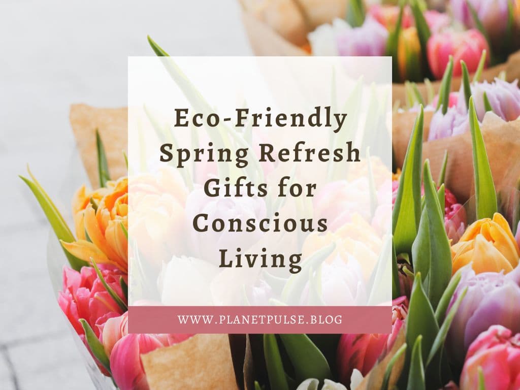 Sustainable, Low-Waste Anniversary Gifts for an Eco-Conscious Spring Refresh